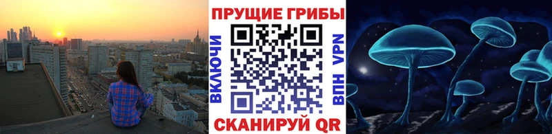 Галлюциногенные грибы прущие грибы  купить закладку  Добрянка 